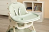 CARETERO Krzesełko do karmienia 2w1 Bill, Mint