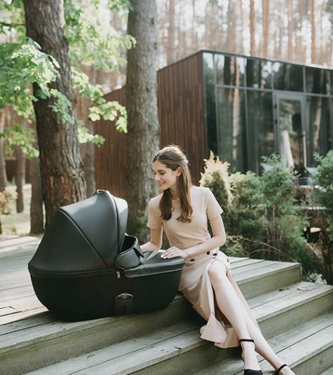 ANEX WÓZEK 2W1 E-TYPE ET-08A SWAN 1/2