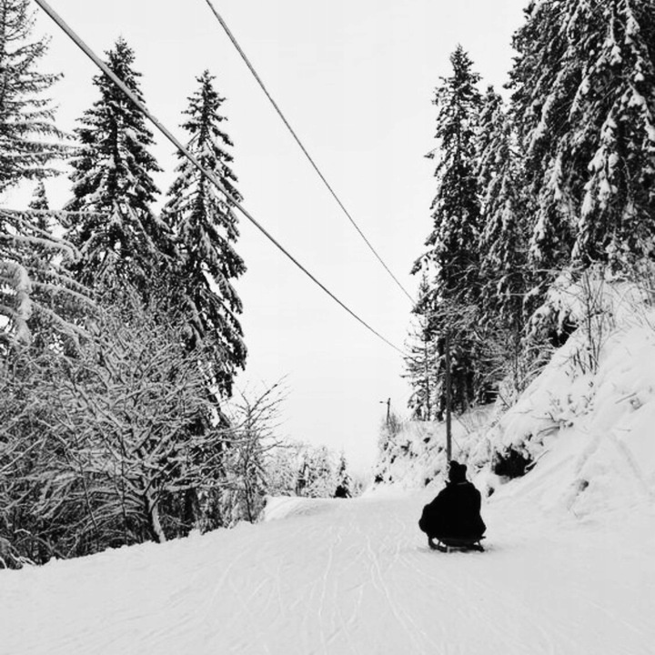 Sanki z oparciem i pchaczem, solidne | czarne