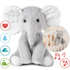 Cloud b® Elliot Elephant™- Szumiący Słoń z pozytywką