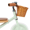 Banwood Rowerek trójkołowy Trike Pale Mint