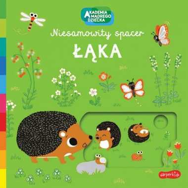 Książeczka Łąka Niesamowity spacer