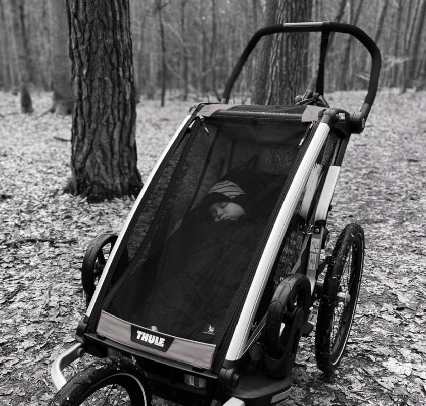 Cottonmoose Śpiworek (Yukon) North, Camel