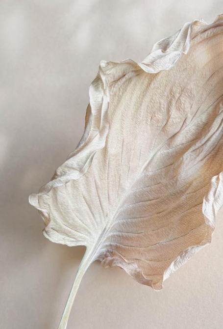 BABYBJORN Leżaczek (Petal Quilt) Dusty Pink