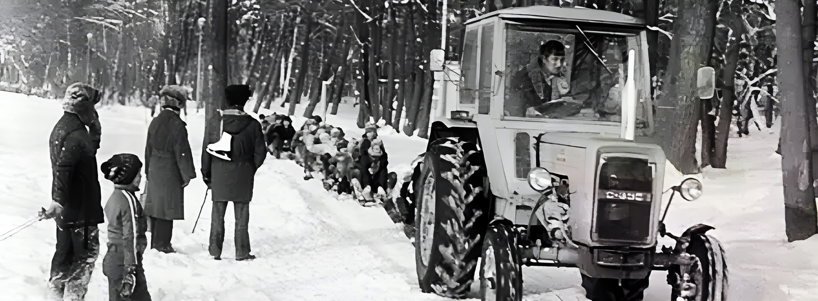 Sanki 3w1 z oparciem & pchaczem (drewniane), Black