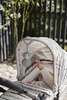 Elodie Details - Stroller Toy - Playful Pebble