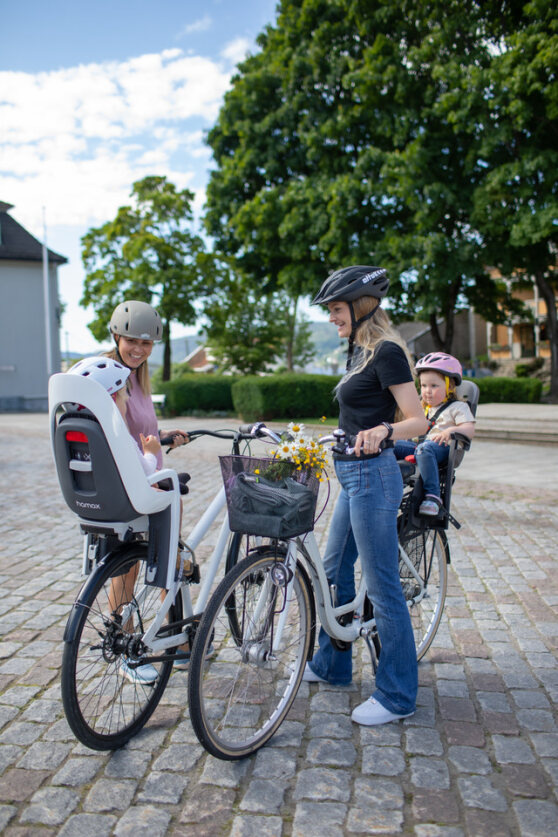 Hamax Fotelik rowerowy Caress (rama) White&Black