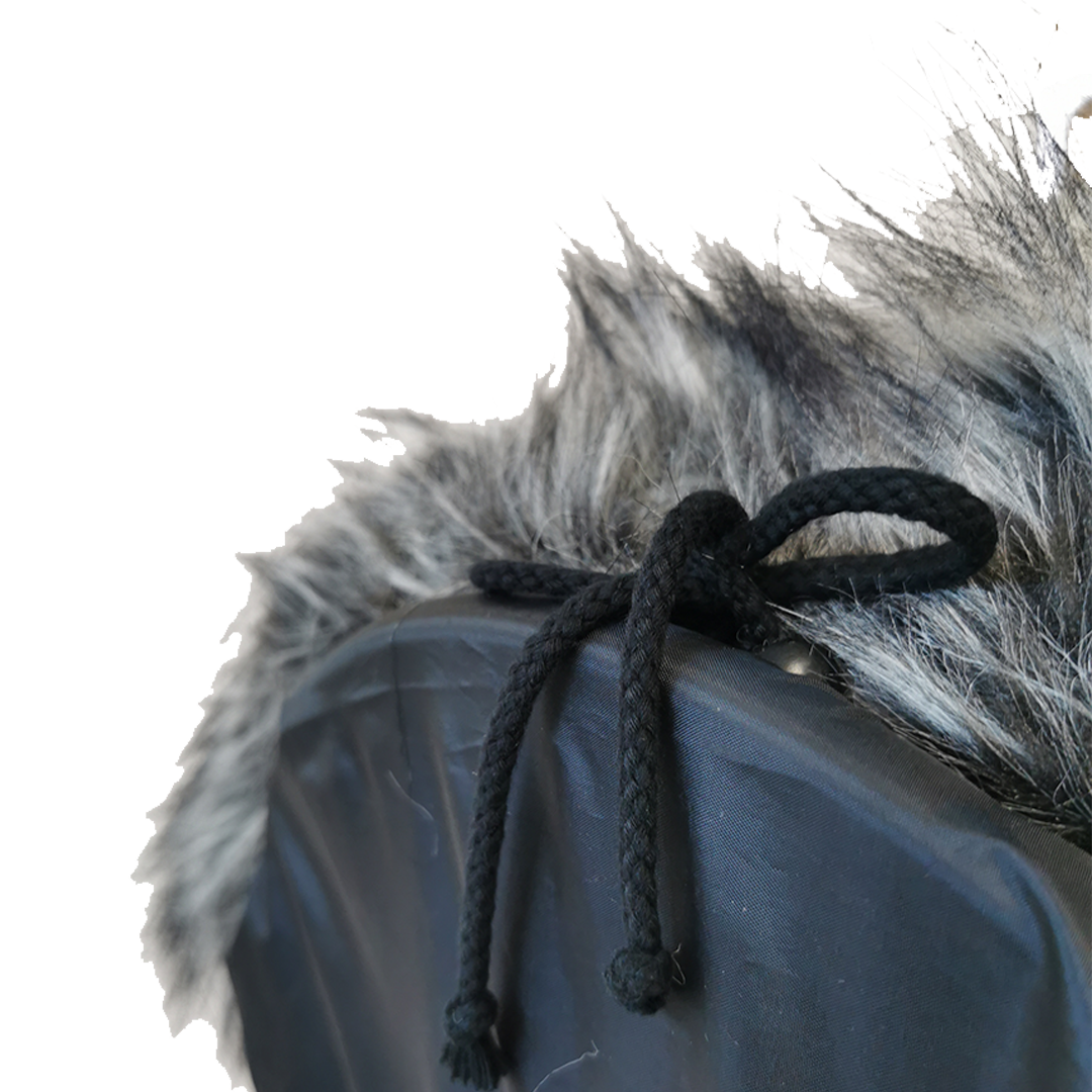 Sanki 3w1 z oparciem & pchaczem (drewniane), Black