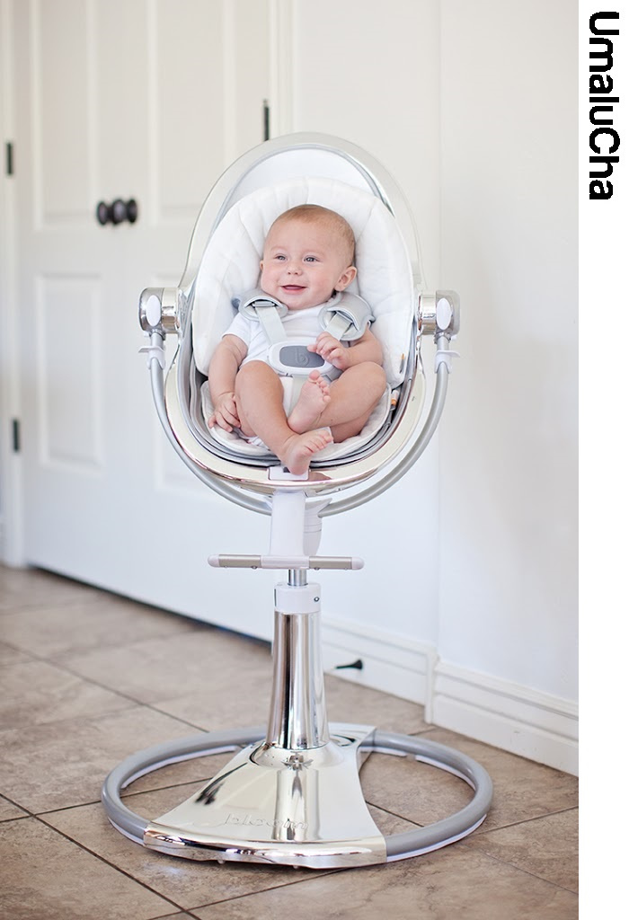 BLOOM FRESCO Stelaż krzesełka 0-36 kg, Silver