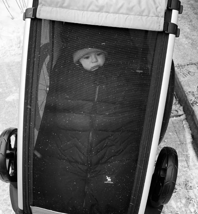 Cottonmoose Śpiworek (Yukon) North, Camel