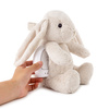 Cloud b® LoveLight Buddies Billy Bunny™ -  Szumiący Królik z czujnikiem ruchu i pozytywką