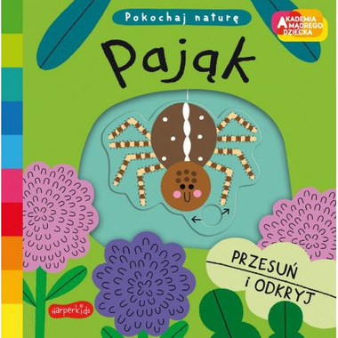 Książeczka Pająk. Pokochaj naturę 